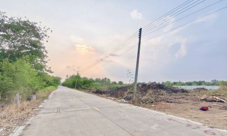 ขายที่ดิน - ที่ดินถมแล้ว ติดถนนคอนกรีต อ.คลองหลวง ไกล้มอเตอร์เวย์