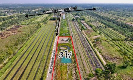 ขายที่ดิน - ที่ดินทำเลดี เชิงเกษตร เหมาะทำบ้านสวน เก็งกำไร
