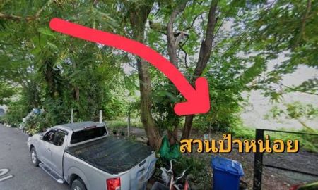 ขายที่ดิน - ขาย/เช่า ที่ดินเปล่า ทำเลดี อำเภอเมือง จังหวัดนนทบุรี