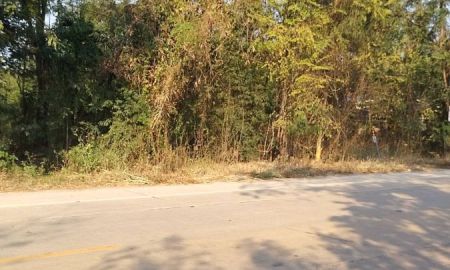 ขายที่ดิน - ขายที่ดิน13ไร่(2แปลง)ติดถนนยางโทน จังหวัดราชบุรี