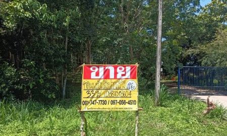 ขายที่ดิน - ขายที่ดินสวนยาง 33 ไร่ ชัยเกษม บางสะพาน ประจวบคิรีขันธ์ ใกล้หาดบ้านกรูด เส้นถนนทะลุถนนเพชรเกษมได้