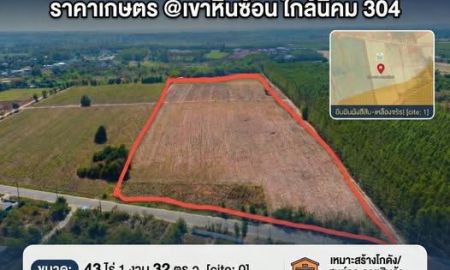 ขายที่ดิน - ที่ดินเขาหินซ้อน 43ไร่ 1งาน 32ตรว ห่างจากสาย 304 ประมาณ 1 กม. ต.เขาหินซ้อน อ.พนมสารคาม จ.ฉะเชิงเทรา