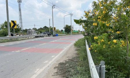 ขายที่ดิน - ขายที่ดิน พื้นที่ แขวงลำปลาทิว เขตลาดกระบัง กรุงเทพฯ