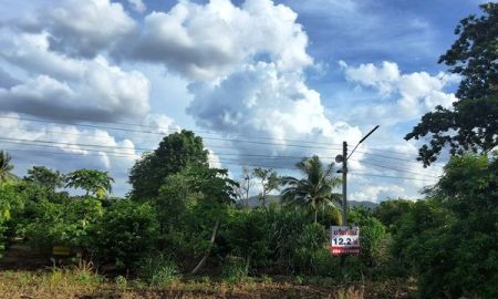 ขายที่ดิน - ขายที่ดินโฉนด 12.5 ไร่ ต.หินซ้อน อ.แก่งคอย จ.สระบุรี บรรยากาศดี