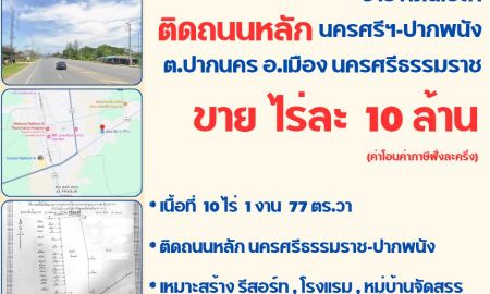 ขายที่ดิน - ขายที่ดินเปล่าติดถนนใหญ่ #ใกล้Centralนครศรีธรรมราช