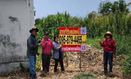 ขายที่ดิน - ขายด่วน ! ที่ดินใกล้รพ.บางใหญ่ 787 ตารางวา)( ติดถนนสาธารณะ บ้านใหม่ บางใหญ่ นนทบุรี