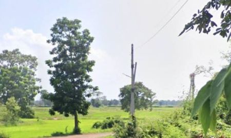 ขายที่ดิน - ที่ดินอยู่อาศัย วิวนา ราคาถูก นางรอง บุรีรัมย์