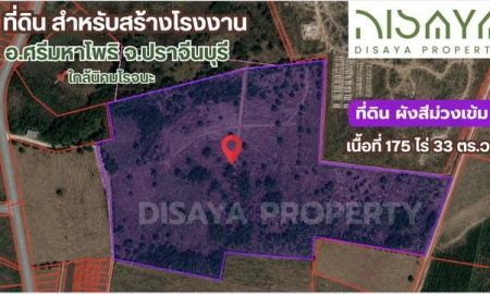 ขายที่ดิน - ที่ดิน ปราจีนบุรี นิคมโรจนะ ผังสีม่วง อ.ศรีมหาโพธิ