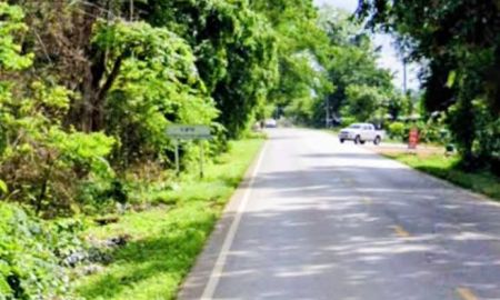 ขายที่ดิน - ที่ดินทำเลทอง ติดถนนสายหลัก ราคาถูก อ.น้ำปาด อุตรดิตถ์