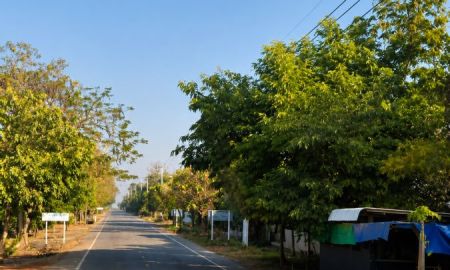 ขายที่ดิน - ขายบ้านสวนพร้อมที่ดิน 10 ไร่ 26 ตร.วา ต.ใหม่พัฒนา อ.เกาะคา จ.ลำปาง ติดถนนทางหลวง 2027