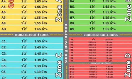 ขายที่ดิน - ขายที่ดินผ่อนตรงเจ้าของ ไม่มีดอกเบี้ย ตำบล บึงบา อำเภอ หนองเสือ ปทุมธานี