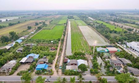 ขายที่ดิน - ขายที่ดินเหมาะทำบ้านสวนเกษตร ตำบล บึงกาสาม อำเภอ หนองเสือ ปทุมธานี