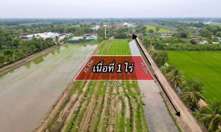 ขายที่ดิน - ขายที่ดินเหมาะทำบ้านสวนเกษตร ตำบล บึงกาสาม อำเภอ หนองเสือ ปทุมธานี