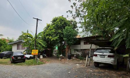 ขายที่ดิน - ขายที่ดิน ซอยวิภาวดี41 ซอย8(ลูกรัง) ใกล้สนามบินดอนเมือง
