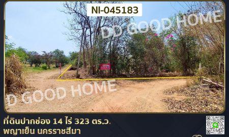 ขายที่ดิน - ที่ดินปากช่อง 14 ไร่ 323 ตร.ว. พญาเย็น นครราชสีมา ใกล้The wild เขาใหญ่