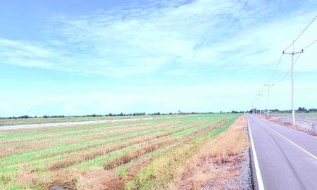 ขายที่ดิน - ขายที่ดินเปล่า ขนาดใหญ่ ราคาดี ทำเลบางเลน จ.นครปฐม