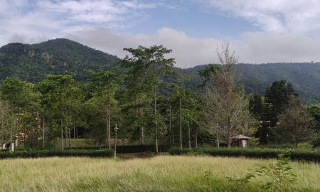 ขายที่ดิน - ขายที่ดินเขาใหญ่ ที่ดินในโครงการทอสคานา Toscana แปลงสวย ราคาดีมาก โซนใกล้อุทยานแห่งชาติเขาใหญ่ วิวเขาสวย อากาศดีมาก หมูสี โป่งตาลอง ปากช่อง