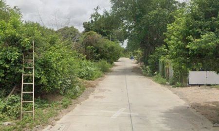 ขายที่ดิน - ขายที่ดินหนองขาม 60 ตรว. หลังสวนสาธารณะหนองค้อใกล้สวนเสือศรีราชา-2กม. อ.ศรีราชา ชลบุรี