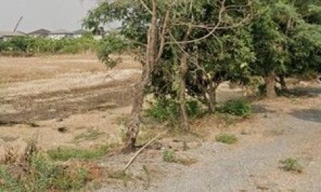 ขายที่ดิน - ขายที่ดิน 1 ไร่ ถนนจตุโชติ สายไหม กรุงเทพ