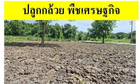 ขายที่ดิน - ขายที่ดินเปล่าแปลงมุม ถมแล้ว ซอยเทคโนโลยีแหลมทอง ทำเลศักยภาพ อำเภอเมืองปทุมธานี