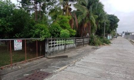 ขายที่ดิน - ขายที่ดิน ถนนสุริยะประดิษฐ์ บางนาค นราธิวาส เนื้อที่ 58.30 ตร.ว. ทำเลดี ซอยโชว์รูมรถ BYD