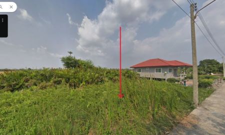 ขายที่ดิน - ขายที่ดิน 100 ตรว. ติดถนนคอนกรีตบริเวณคลอง 11 ฝั่งตะวันตก, หนองเสือ, ปทุมธานี