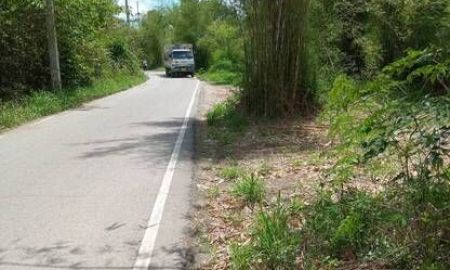 ขายที่ดิน - ขายที่ดินที่ดิน สันป่าตอง ใกล้หนองเสรียม อ.สันป่าตอง จ.เชียงใหม่ ติดถนนลาดยาง 2 ด้าน หน้ากว้าง 55 เมตร ยาว 96 เมตร