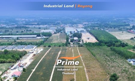 ขายที่ดิน - ขายที่ดินเขตอุตสาหกรรม พื้นที่สีม่วงลายจุด ระยอง | ใกล้นิคม WHA36 เพียง 800 เมตร