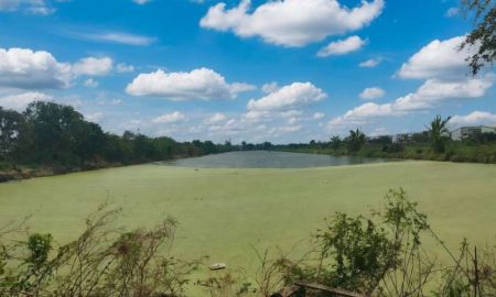 ขายที่ดิน - ที่ดินทำเลทอง ใกล้สนามบินสุวรรณภูมิเพียง 15 นาที ติดถนนวัดศรี จ.สมุทรปราการ