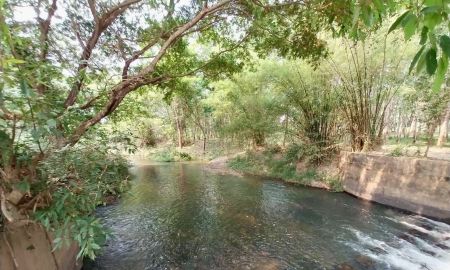 ขายที่ดิน - ขายที่ดินสวนยางพาราพร้อมพืชเศรษฐกิจ 27ไร่เศษ ต.ท่าปลา อุตรดิตถ์ พร้อมเก็บเกี่ยวผลผลิตได้ มีลำคลองไหลรอบที่ดิน น้ำไฟเข้าถึง ติดถนน รถ6ล้อเข้าได้