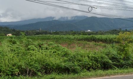 ขายที่ดิน - ขายที่ดินโป่งตาลอง 5ไร่ ที่สูงเทควิวเขาใหญ่สวยชัดมาก หายาก ติดถนนใหญ่หนองขี้ตุ่น ใกล้ทอสคานา Toscana 3052 แปลงนี้สวยมาก อากาศดี ทางไปโซนพระตำหนัก