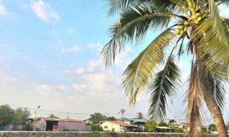 ให้เช่าบ้าน - ให้เช่าบ้านเดี่ยวชั้นเดียว รีโนเวทใหม่ อยู่ตำบลบางปลา อำเภอบางเลน