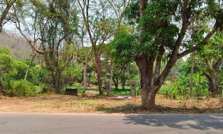 ขายที่ดิน - ขายที่ดินตำบลแม่เหียะวิวพระธาตุดอยคำติดลำธารน้ำโฉนด