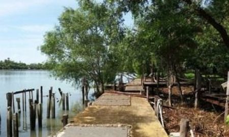 ขายที่ดิน - ขาย ที่ดิน ริมน้ำแม่กลอง 4-3-26.5 ตรว. พร้อมที่งอกริมน้ำมากกว่า 2 ไร่เศษ ตำบลท้ายหาด อำเภอเมือง จังหวัดสมุทรสงคราม