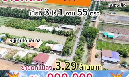 ขายที่ดิน - คลองแอน ทำเลทอง คลอง 7 ติดถนนคลอง ไม่เข้าซอย ลาดยางตลอดเส้น