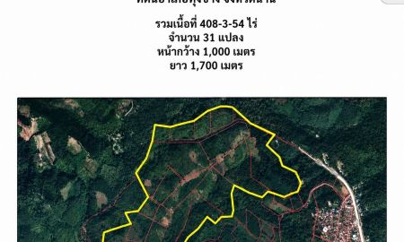 ขายที่ดิน - ที่ดินอำเภอทุ่งช้าง จังหวัดน่าน ป่าสักธรรมชาติพื้นที่ต้นน้าศักยภาพ
