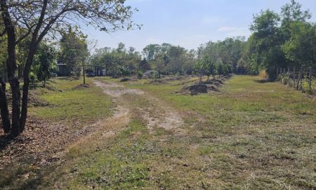 ขายที่ดิน - ขายที่ดิน เจ้าของขายเอง ราคาถูก ปลูกผลไม้กำลังยืนต้นสวย หลายชนิด ที่ด้านหลังติดสระบัว มีน้ำใช้ตลอด