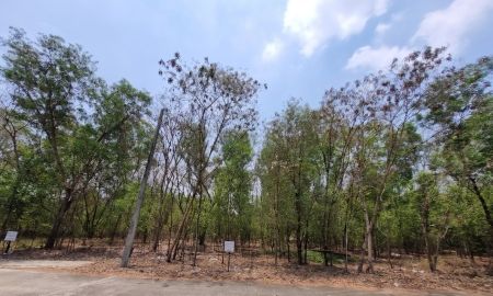 ขายที่ดิน - ขายที่ดิน 3 โฉนดติดกัน | ต.บึงบา อ.หนองเสือ จ.ปทุมธานี บนทำเลจุดเชื่อมต่อที่ดีที่สุดของหนองเสือ!