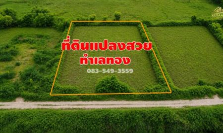 ขายที่ดิน - ขายที่ดิน ใกล้ตลาดวังน้อย 2ไร่ ต.ลำตาเสา อ.วังน้อย จ.อยุธยา