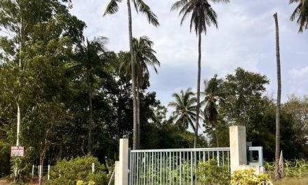 ขายที่ดิน - ขายที่ดินหนองรี 2 ไร่ ใกล้วิวเขาติดถนนลาดยาง ใกล้ถนนทล344-2กม. อ.เมืองชลบุรี