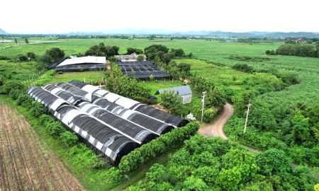 ขายที่ดิน - ขายที่ดินสวย พร้อมสิ่งปลูกสร้าง โรงเรือน 9 ไร่ ต.บ้านใหม่ อ.ท่าม่วง จ.กาญจนบุรี