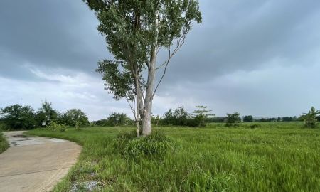 ขายที่ดิน - ที่ดินแบ่งแปลง ใกล้เขาใหญ่ โซนคลองม่วง ปากช่อง บรรยากาศธรรมชาติ เงียบสงบ เดินทางสะดวก พื้นที่รวมประมาณ 21 ไร่