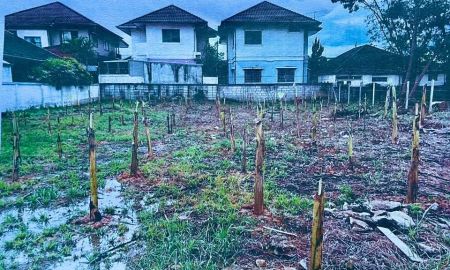 ขายที่ดิน - ขายที่ดินตำบลแม่เหียะห่างถนนหลักเพียง 250 เมตร