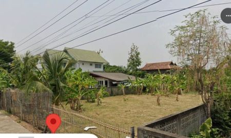 ขายที่ดิน - ขายที่ดินตำบลแม่เหียะห่างตลาดสดแม่เหียะเพียง 300เมตร
