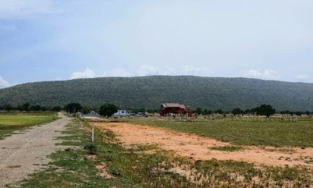ขายที่ดิน - ที่ดินสวยราคาถูกสุดๆ ต.เพนียด อ.โคกสำโรง จ.ลพบุรี