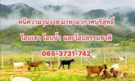 ขายที่ดิน - ที่ดิน ไร่ละ 160,000 บาท เป็นเนินเขาสวย โอบน้ำ ล้อมรั้วแล้ว เพชรบุรี