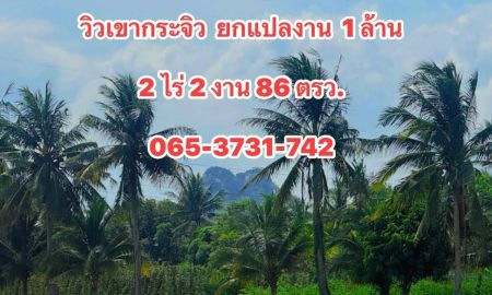 ขายที่ดิน - ที่ดิน ใกล้ตลาดท่ายาง วิวเขากระจิว ท่ายาง เพชรบุรี ยกแปลง 1 ล้านบาท