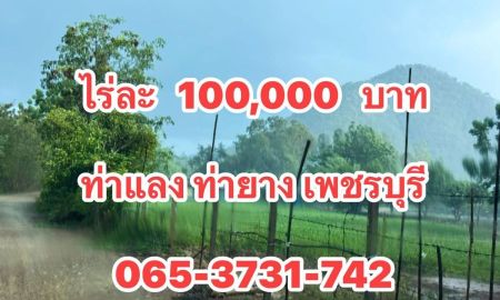 ขายที่ดิน - ที่ดินราคาถูก ไร่ละ 100,000 บาท ท่ายาง เพชรบุรี