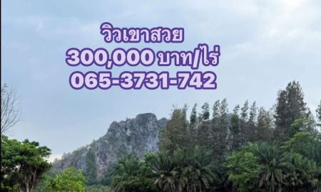 ขายที่ดิน - ที่ดินใกล้ตลาดท่ายาง วิวเขากระจิว ไร่ละ 300,000 บาท
