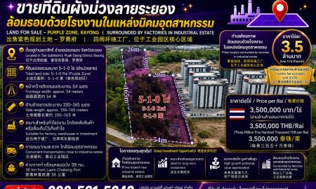 ขายที่ดิน - ที่ดินผังม่วงลายระยอง ล้อมรอบด้วยโรงงานในแหล่งอุตสาหกรรม